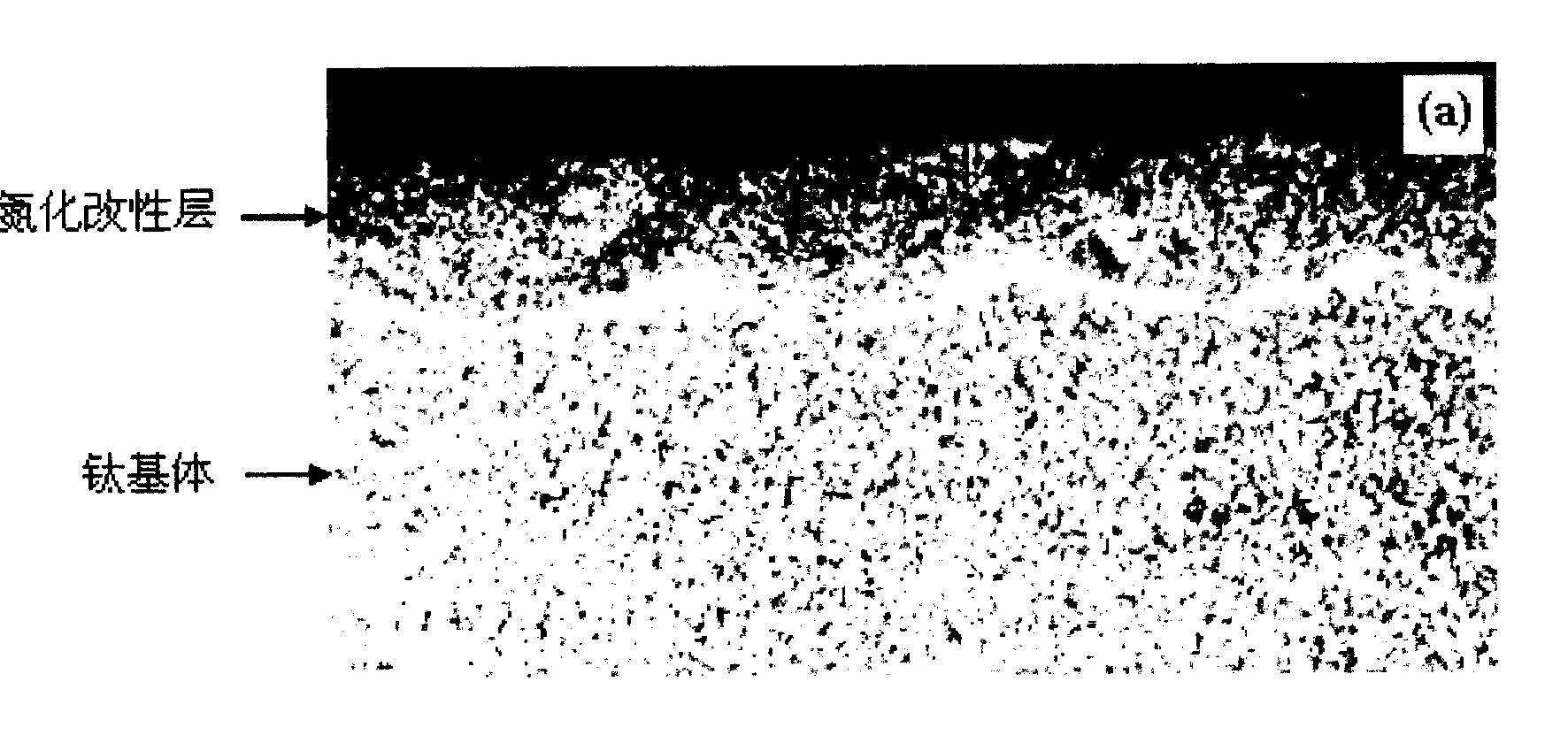 Laser microscopy processing method of porous surface structure