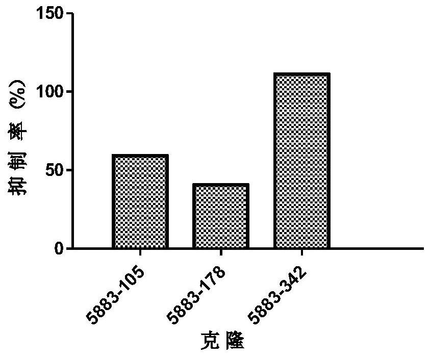 Anti-ST2 antibody and use thereof