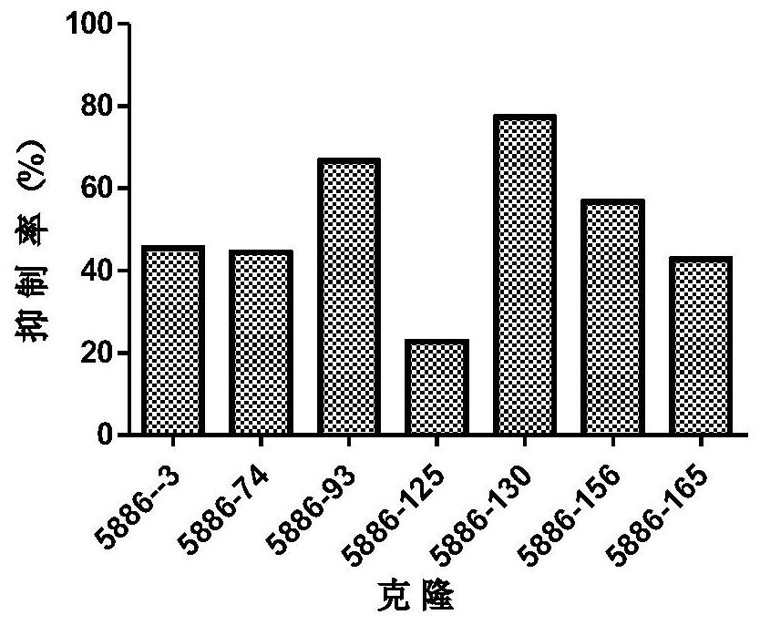 Anti-ST2 antibody and use thereof