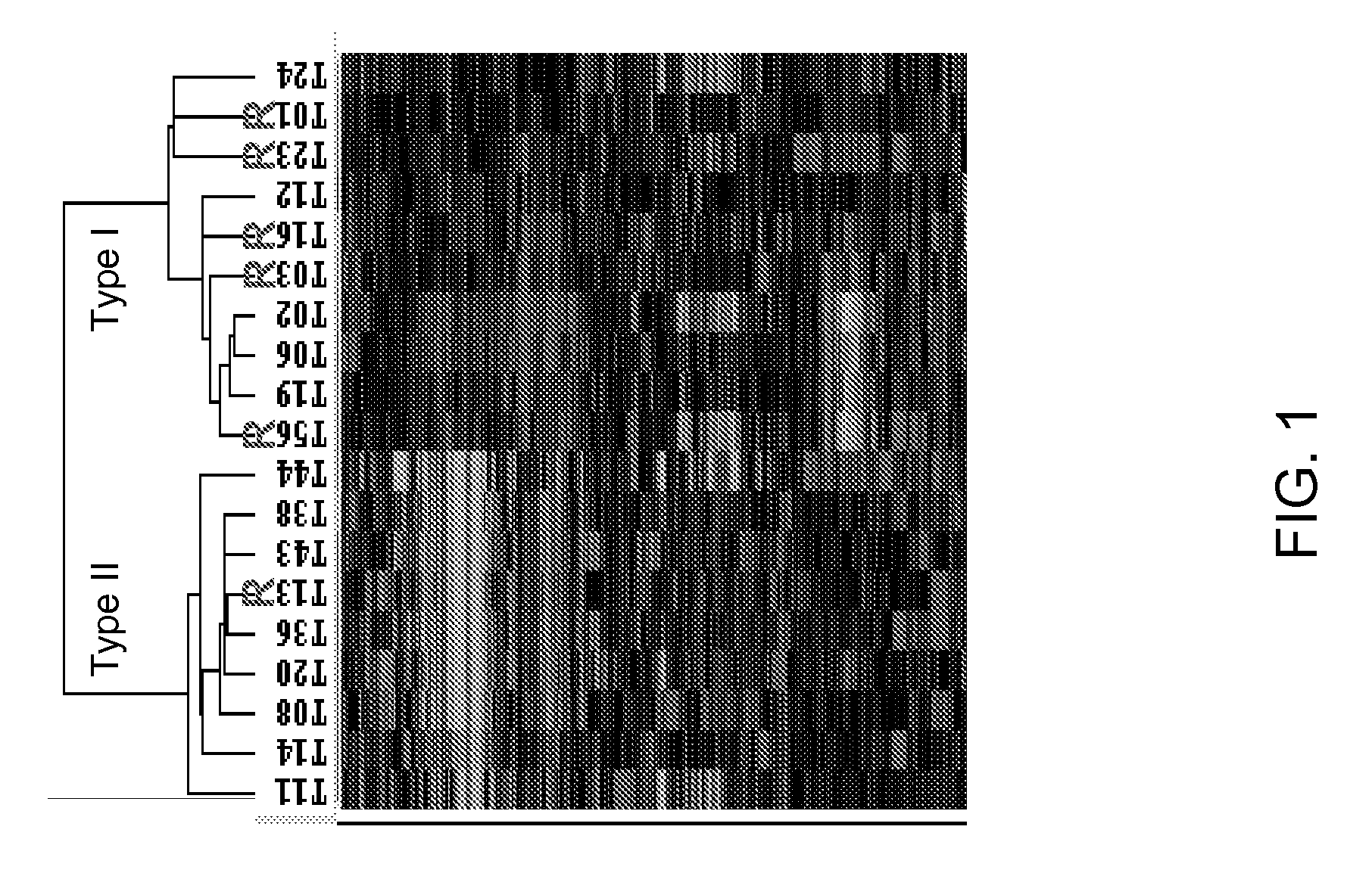 Gene expression profiling of esophageal carcinomas