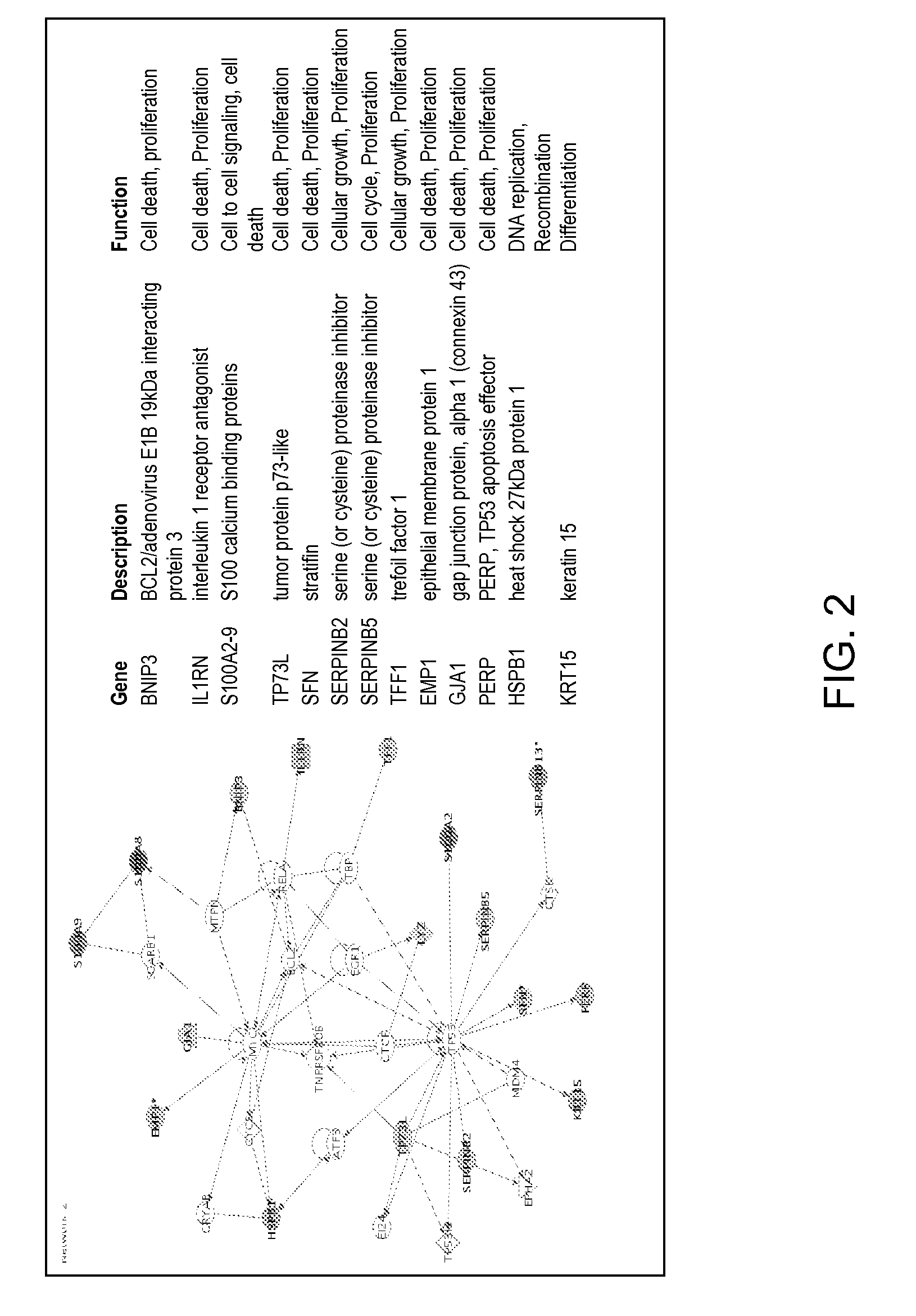 Gene expression profiling of esophageal carcinomas