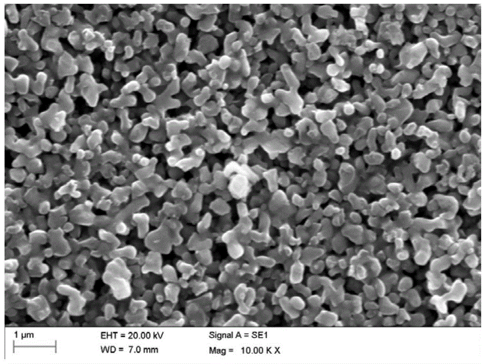 Lithium ion battery composite diaphragm and preparation method and application thereof