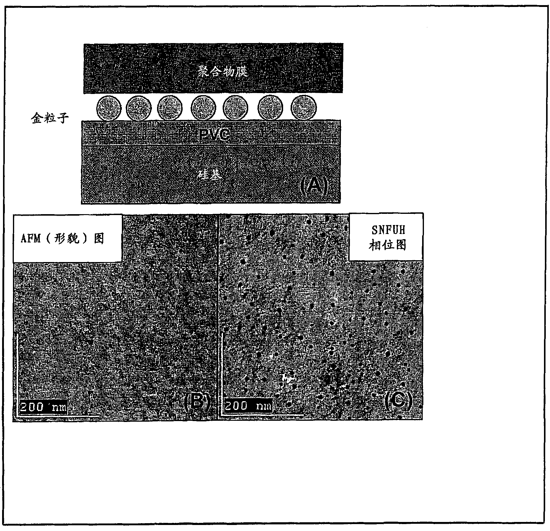 Scanning near field ultrasonic holography method and system