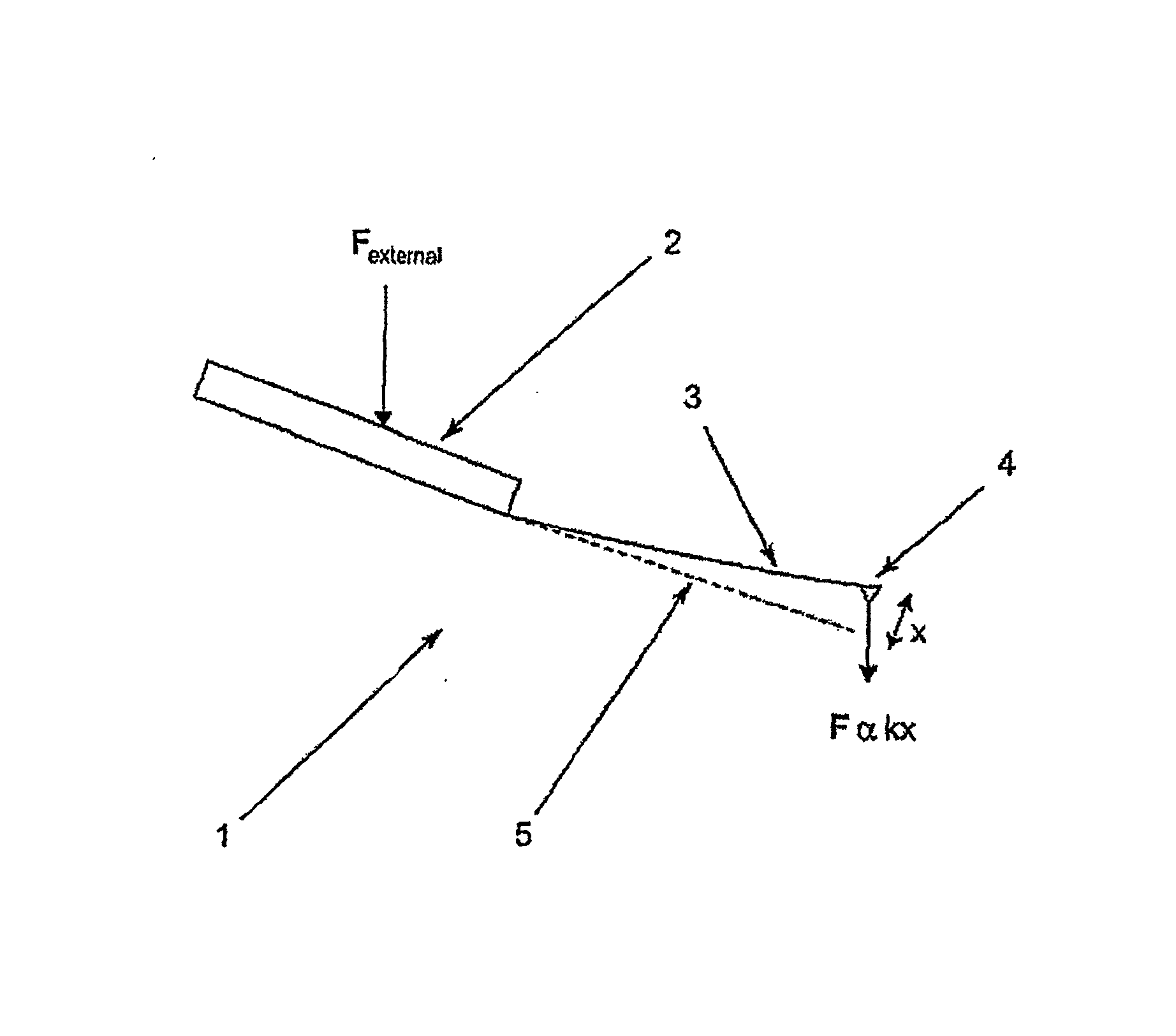 Probe for an atomic force microscope