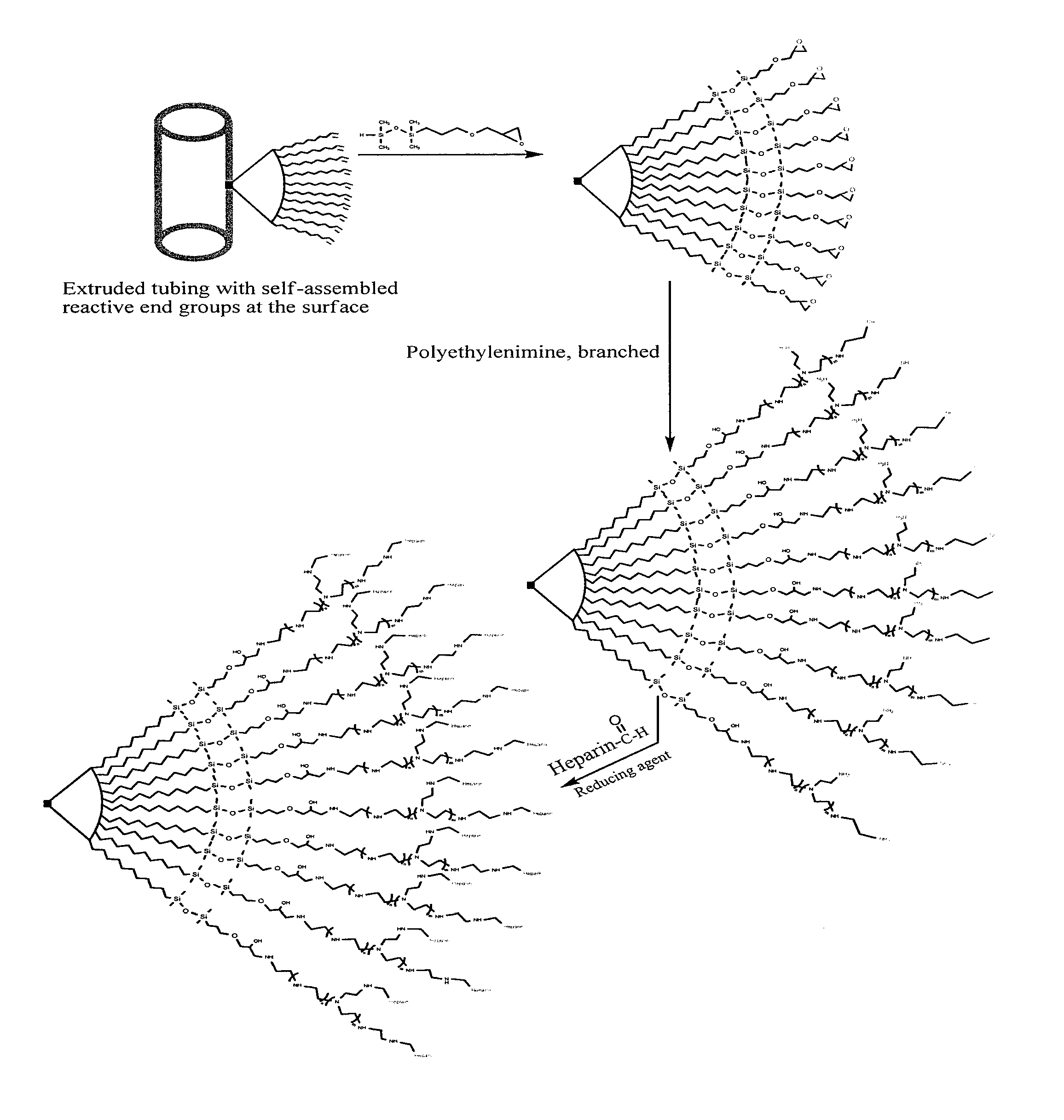 Surface modification of polymers via surface active and reactive end groups