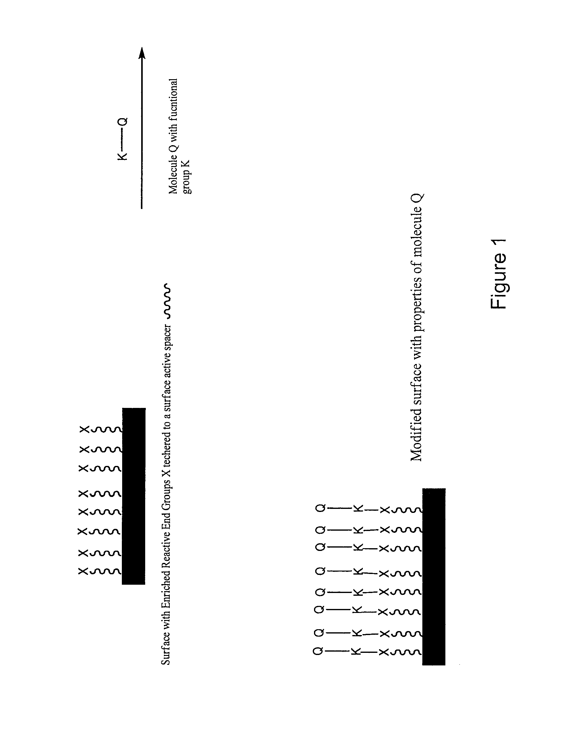 Surface modification of polymers via surface active and reactive end groups