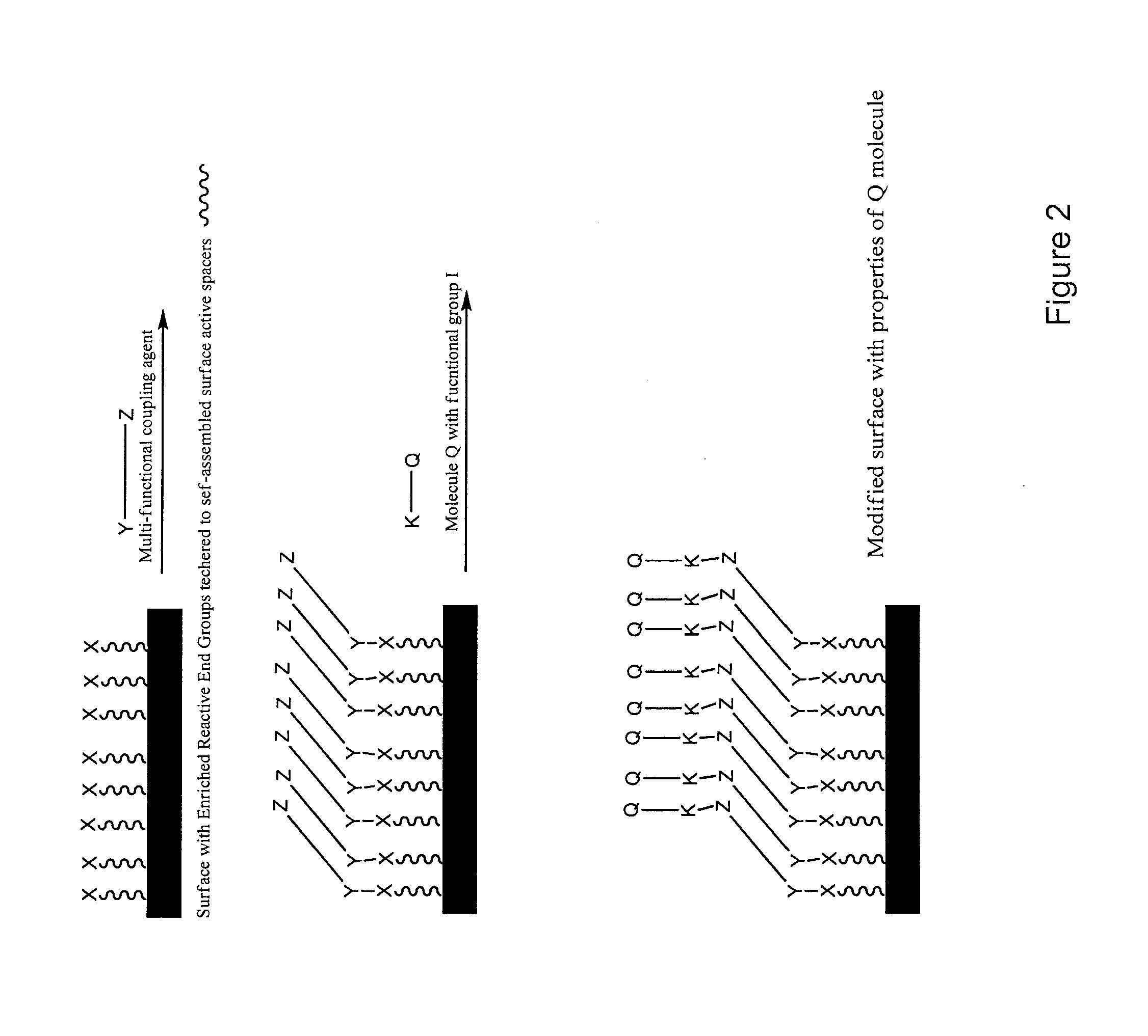 Surface modification of polymers via surface active and reactive end groups