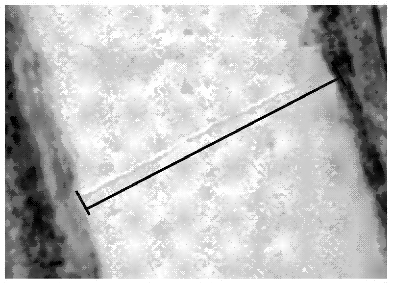 Remote Sensing Recognition Method of Snow Disturbance Traces Based on Difference of Gaussian Model