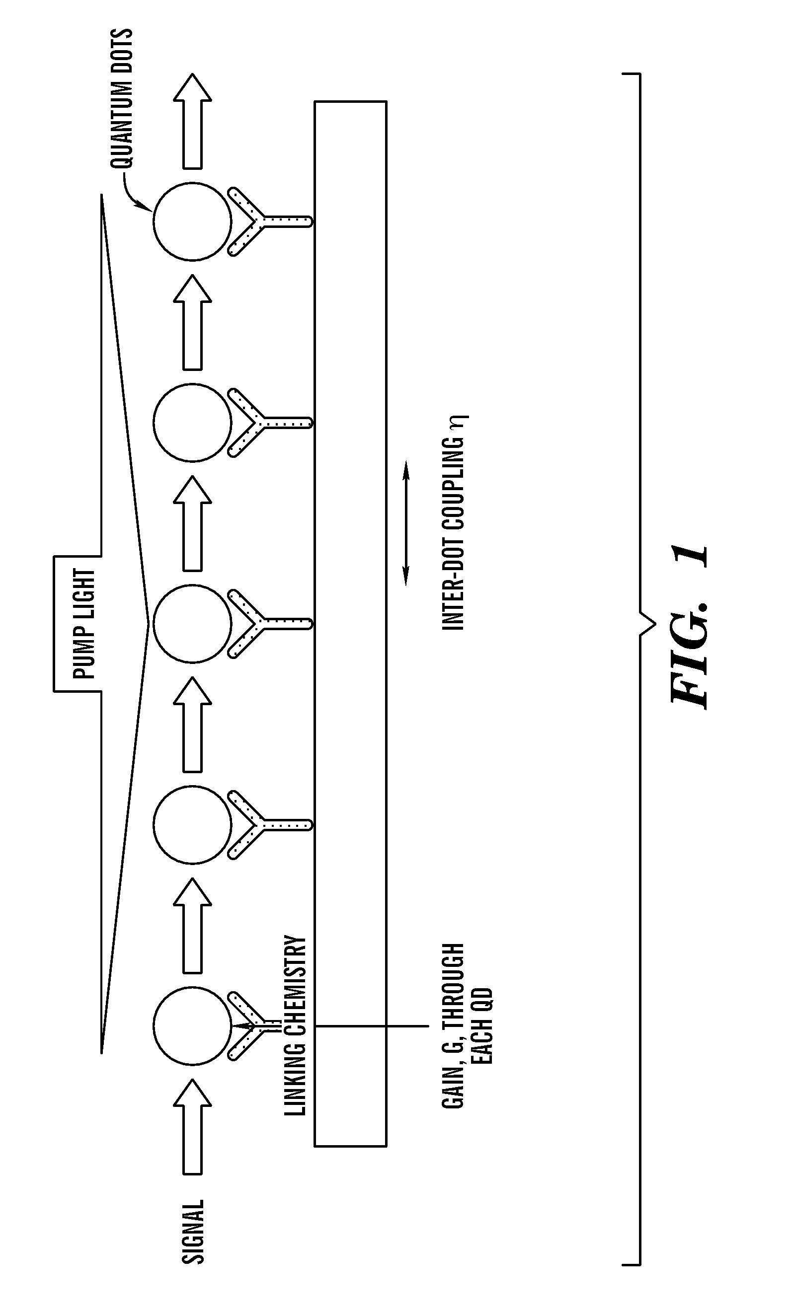 Multiple quantum dot waveguides