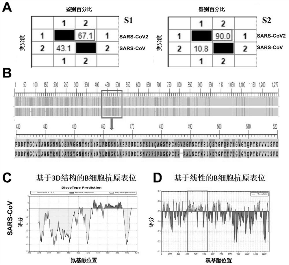 Novel vaccine for preventing COVID-19 and preparation method thereof