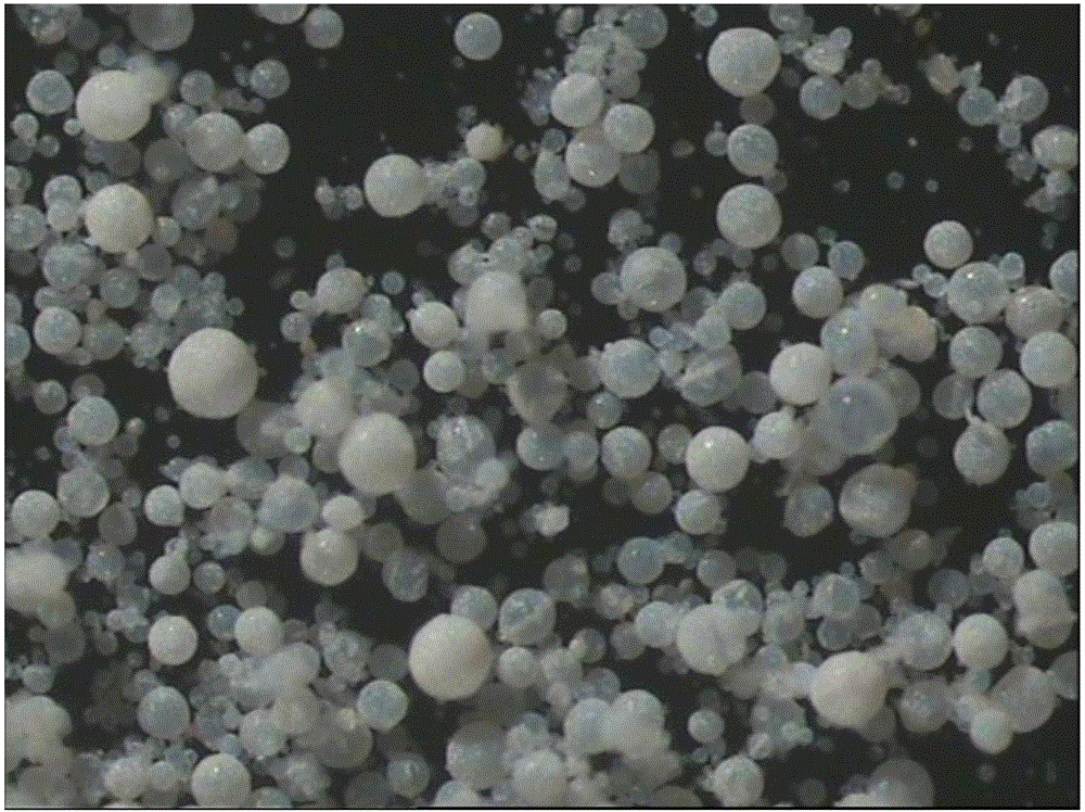 Spherical carrier, olefin polymerization catalyst, preparation methods and application of spherical carrier and olefin polymerization catalyst, and olefin polymerization method