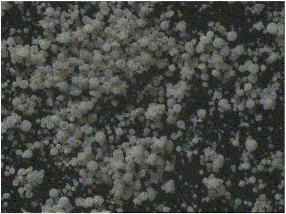 Spherical carrier, olefin polymerization catalyst, preparation methods and application of spherical carrier and olefin polymerization catalyst, and olefin polymerization method