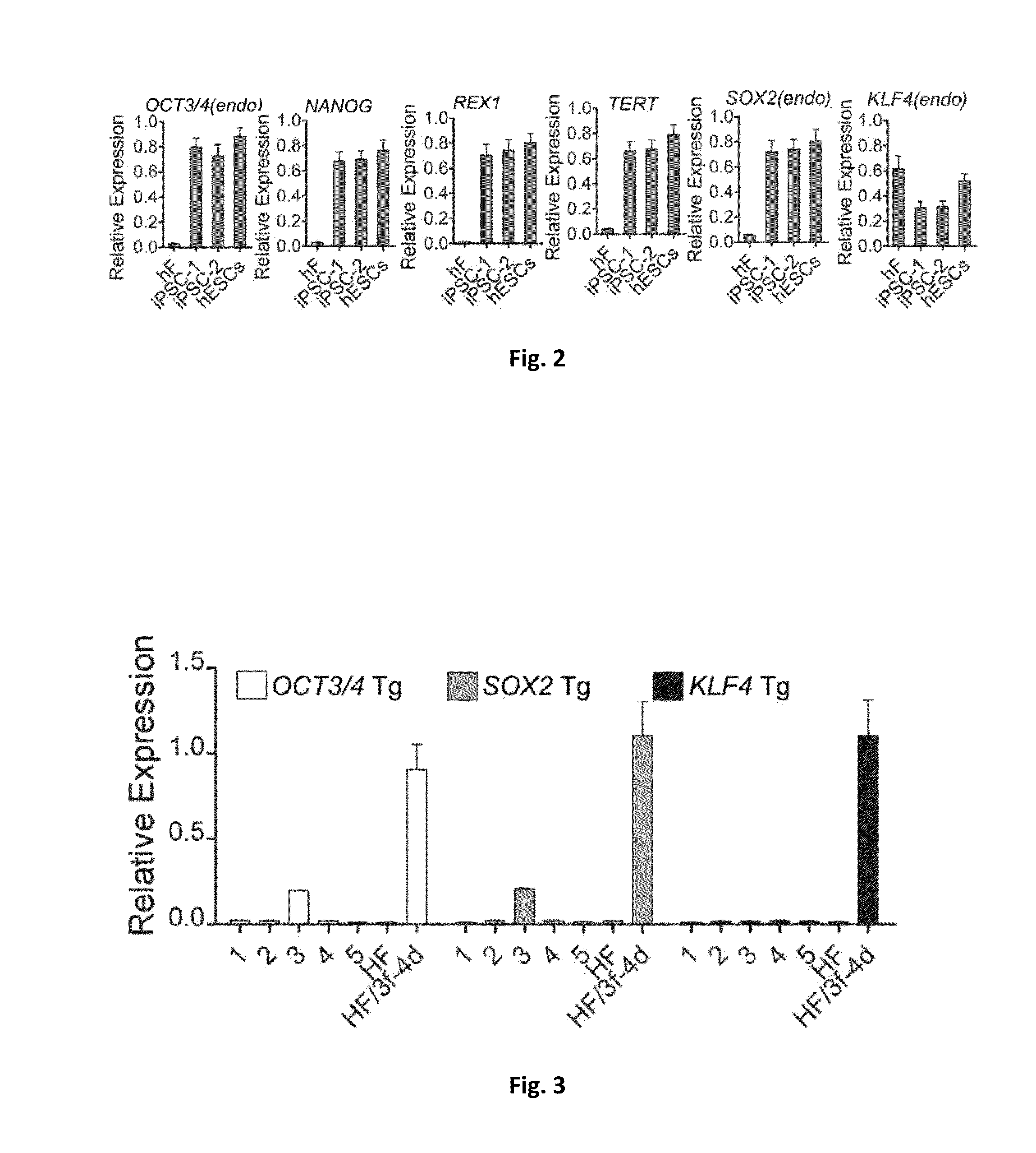 Compositions and methods for generation of human epithelial stem cells