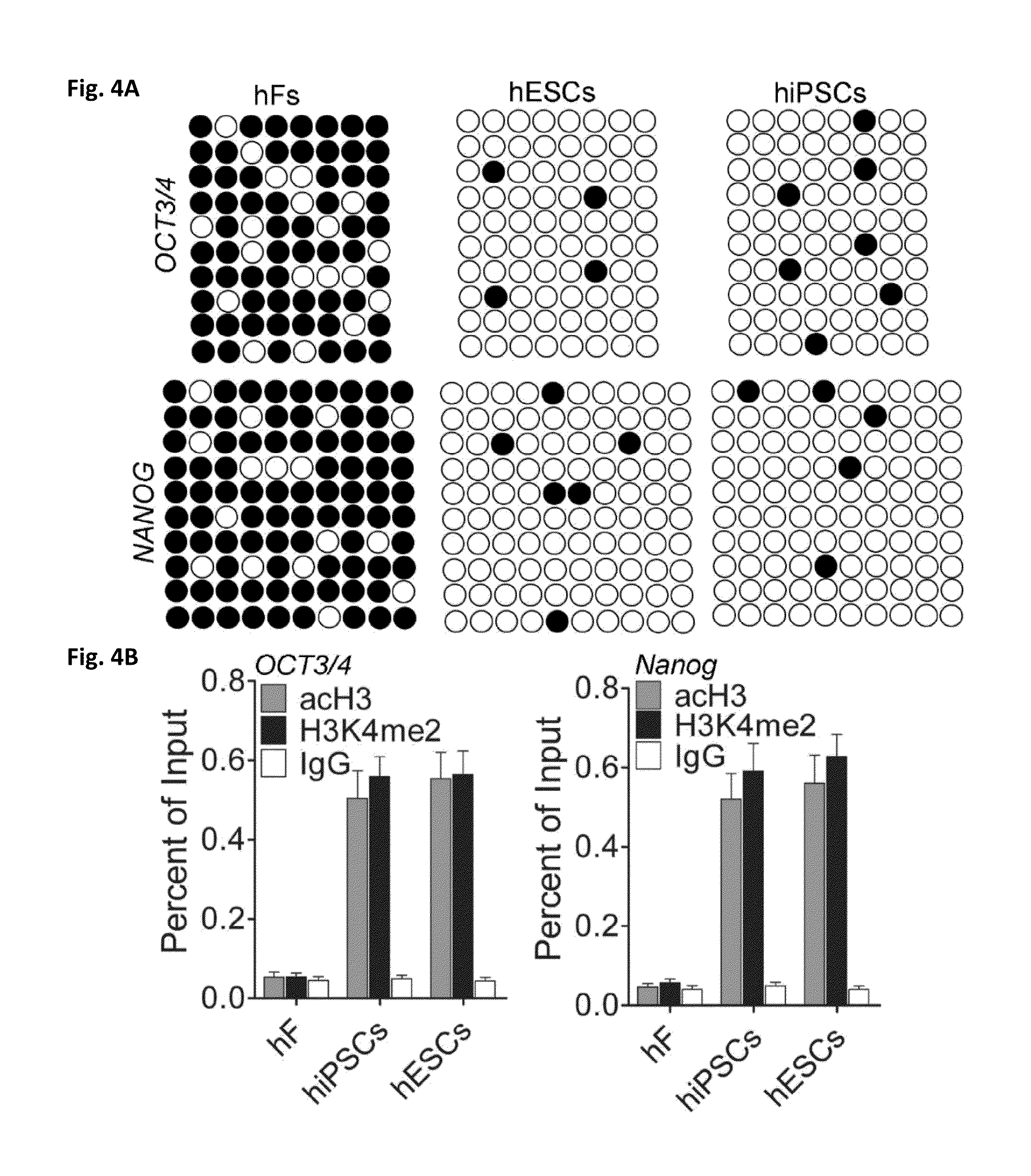 Compositions and methods for generation of human epithelial stem cells