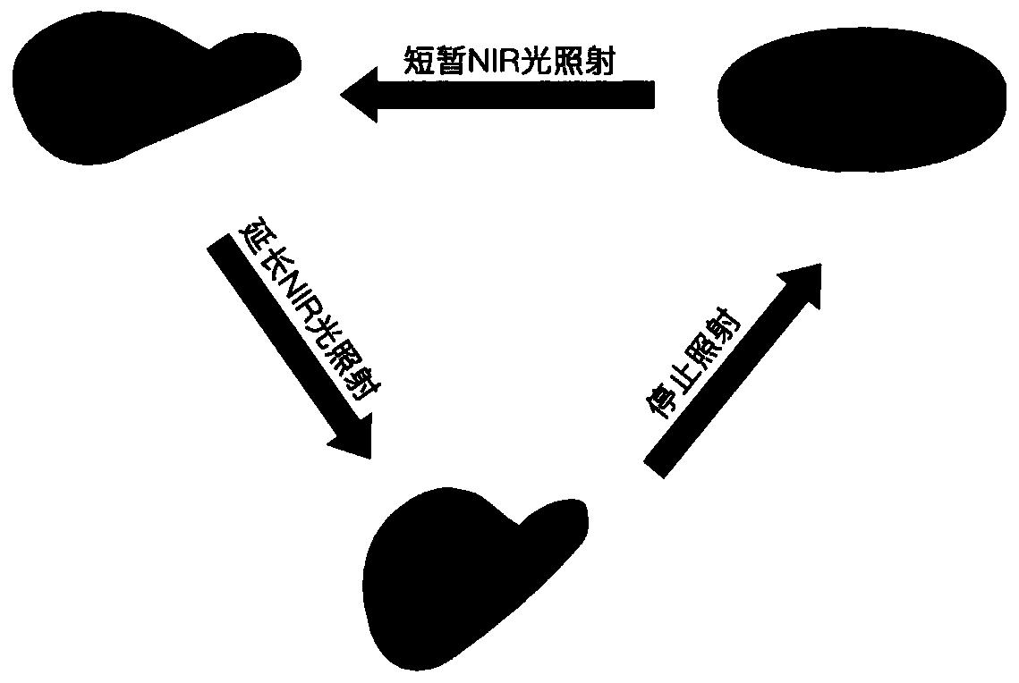 Photothermal stimulation intelligent response actuator film, preparation method of film and application of film