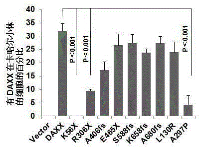 Application of telomere-binding protein daxx in preparation of tumor cell regulator