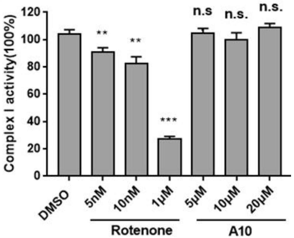 AMPK agonist compound or pharmaceutically acceptable salt or ester or solvate thereof and application thereof