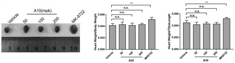 AMPK agonist compound or pharmaceutically acceptable salt or ester or solvate thereof and application thereof