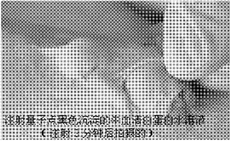 Quantum dot iodized oil dispersion and preparation method and use thereof