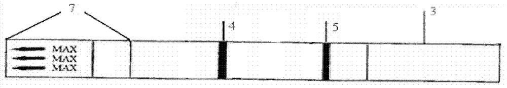 Kit for detecting furazolidone metabolin and method thereof