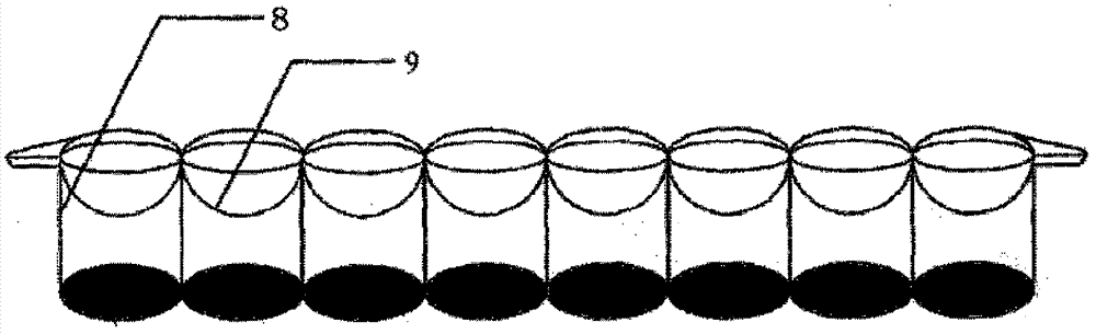 Kit for detecting furazolidone metabolin and method thereof