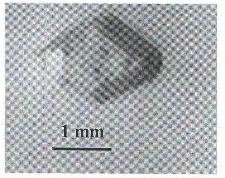 Compound calcium monohydroxypentaborate monohydrate nonlinear optical crystal and its preparation method and use