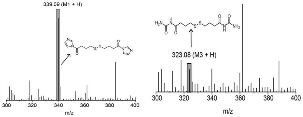 Nanocomposite with low skin phototoxicity for sonodynamic therapy as well as preparation method and application of nanocomposite