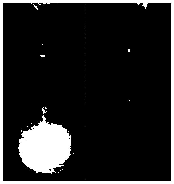 Method for preparing super-stable Pickering emulsion with synergetic stability of prolamin nano-particles and starch nano-particles