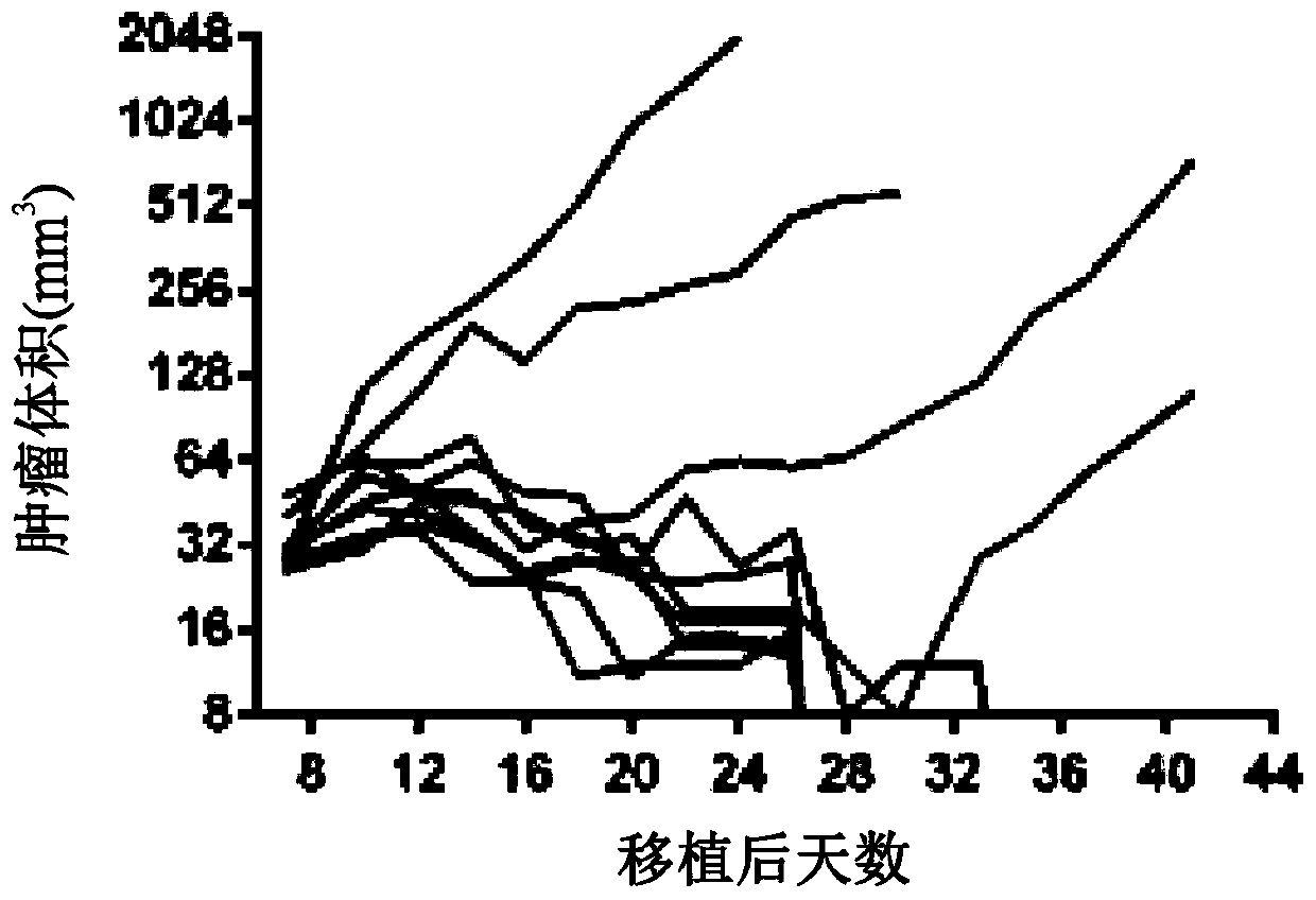 Therapeutic RNA