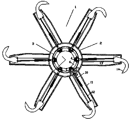 Forage tedding device provided with separated hooks and driven by belt