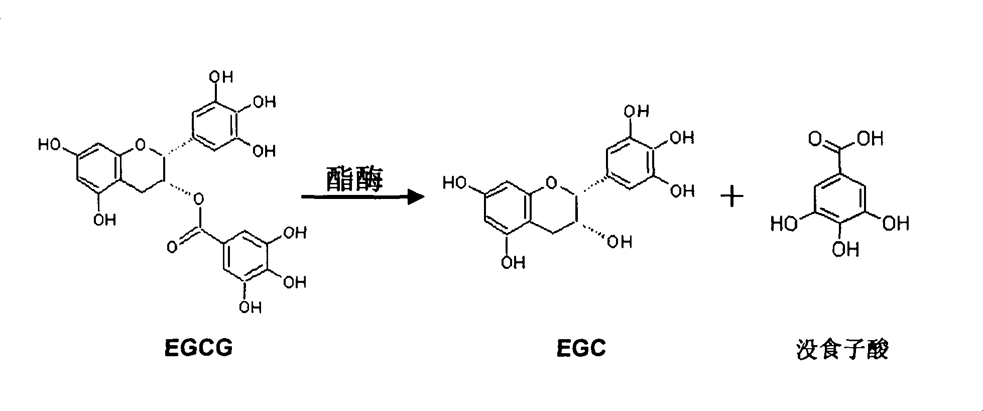 Induction preparation of EGCG esterase and method for producing EGC and gallic acid by using the enzyme