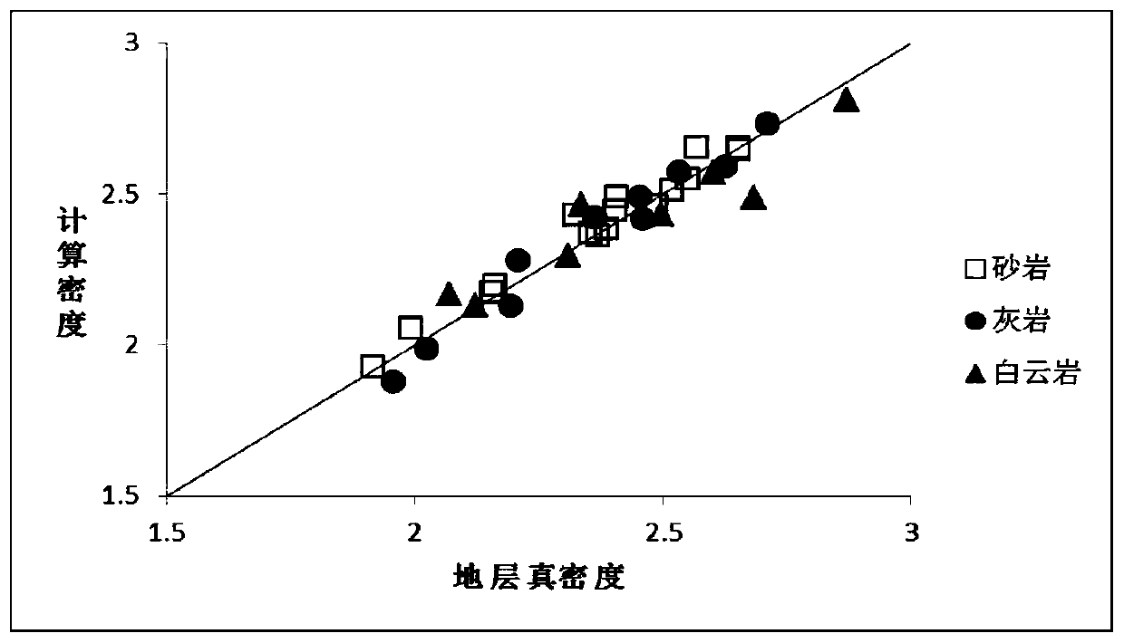 Density measurement method based on D-D controllable neutron source