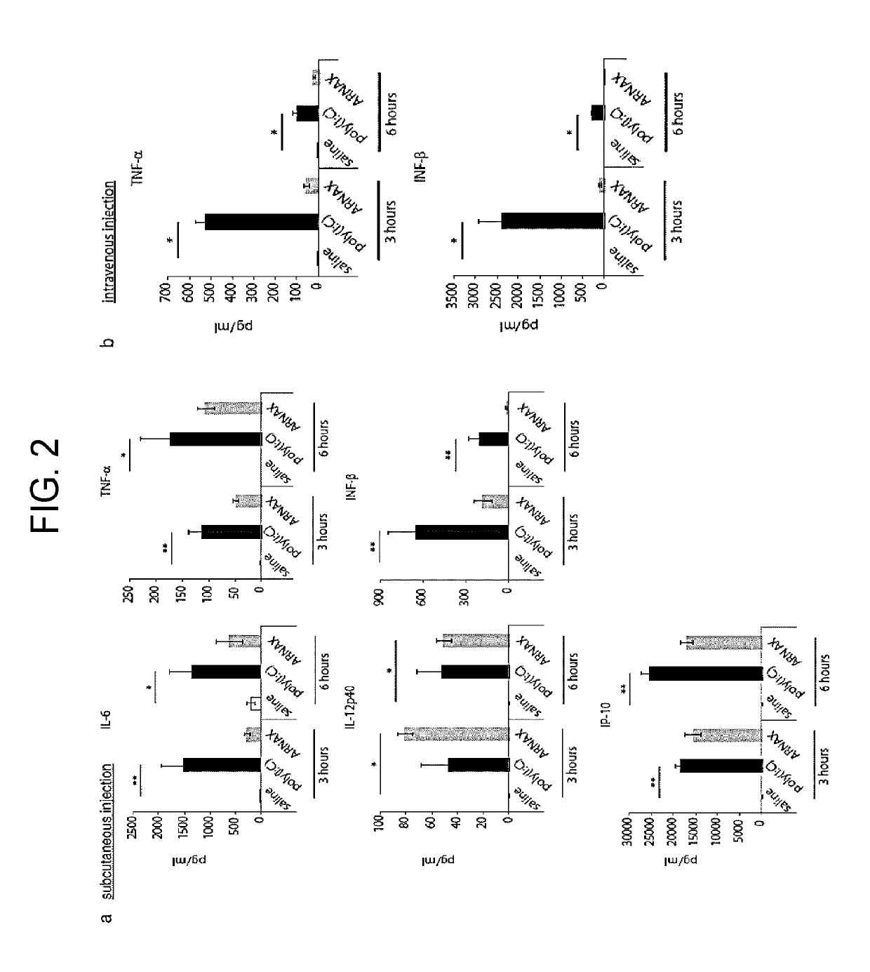 Immune adjuvant for cancer