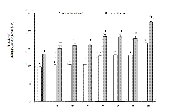 Application of waste compost composite bacterial agent to enhancing photosynthetic capacity of lawn grass