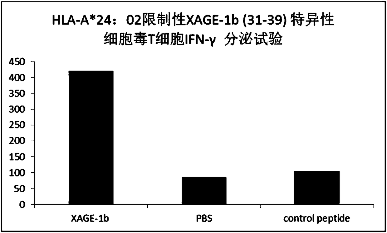 Tumor-associated antigen xage-1b short peptide and its application