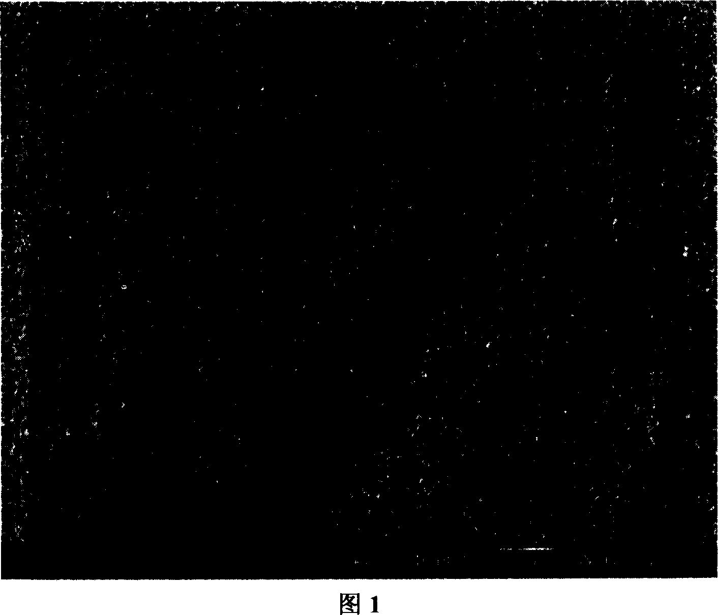 Nanometer porous tungsten trioxide material and its prepn and application