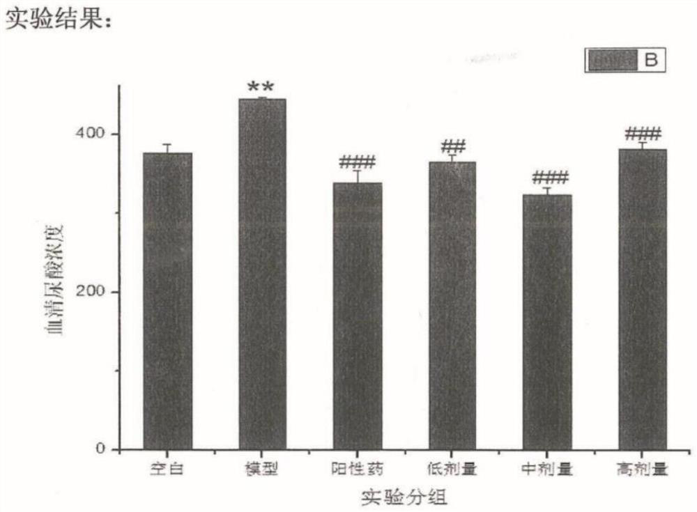 Preparation method and application of plant extracting solution for reducing blood uric acid concentration of human body