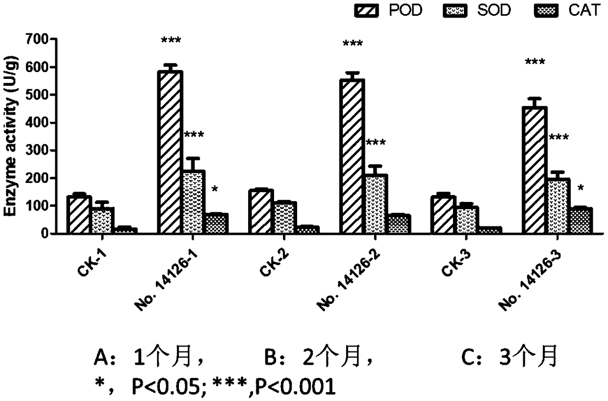 Fungi with effect of increasing content of notoginsenoside and application of fungi