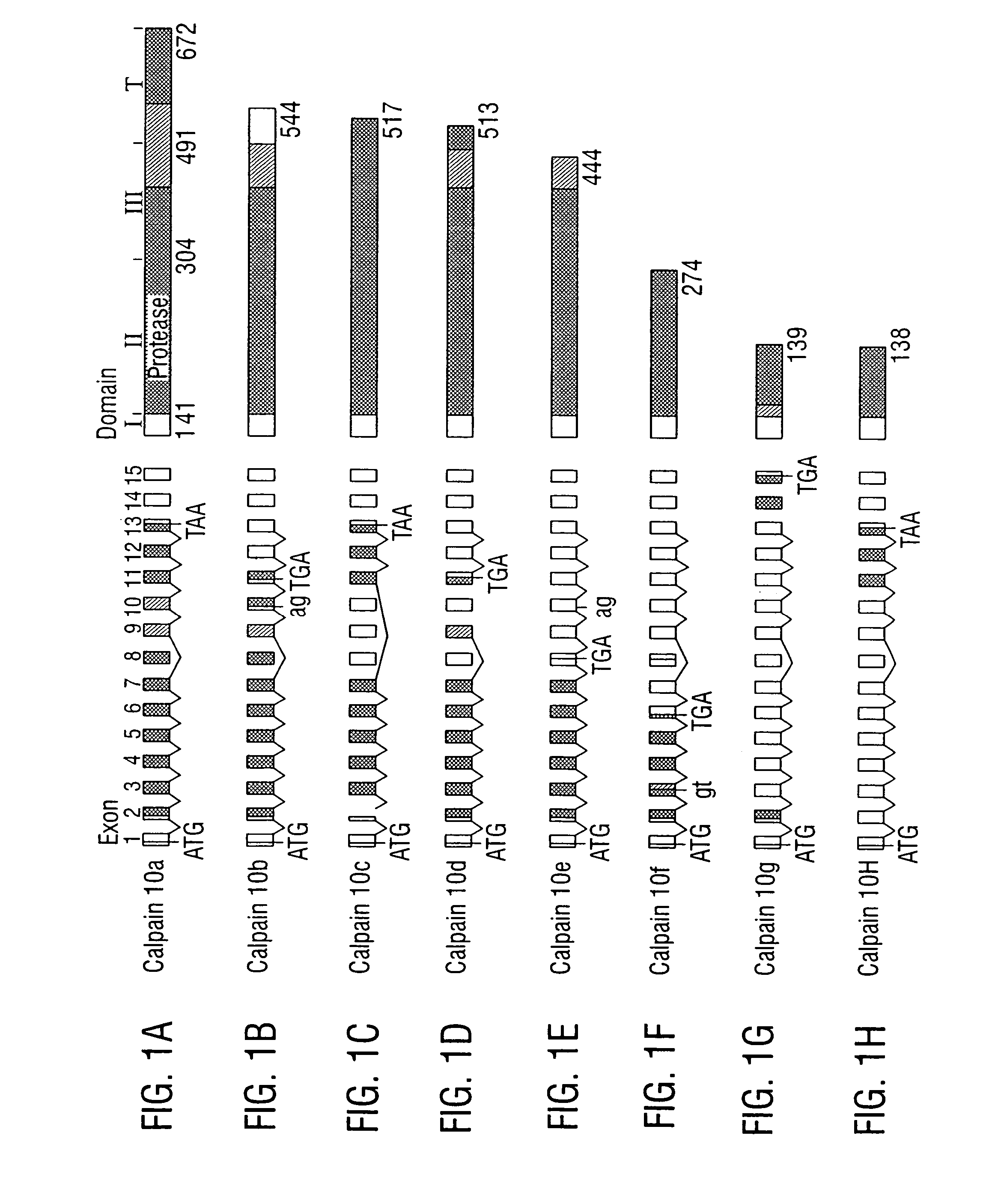 Methods of treatment of type 2 diabetes