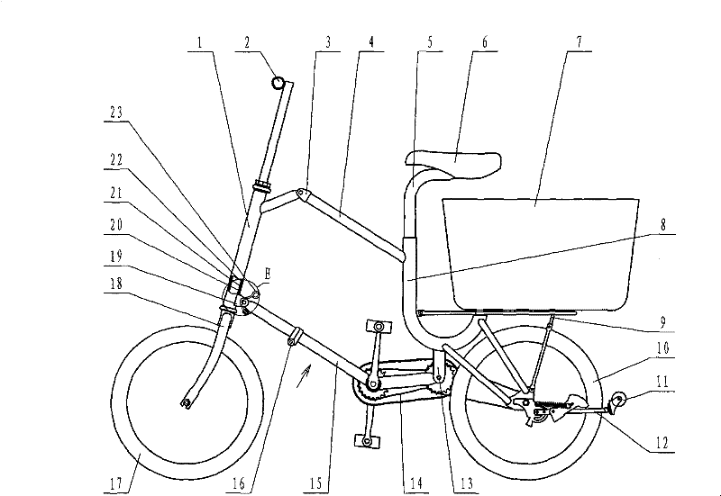 Rhomboid shopping buddy bicycle