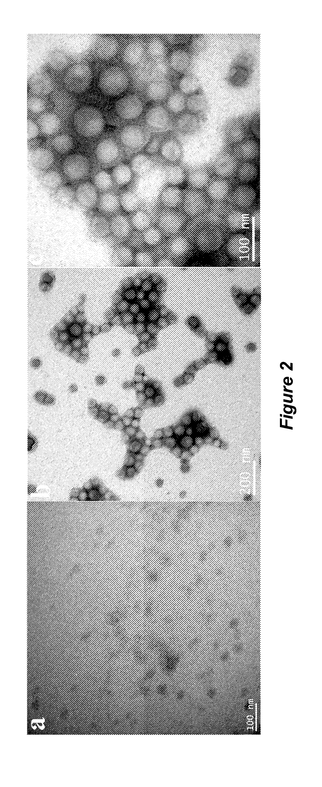 Surfactant-free core-shell hybrid latexes