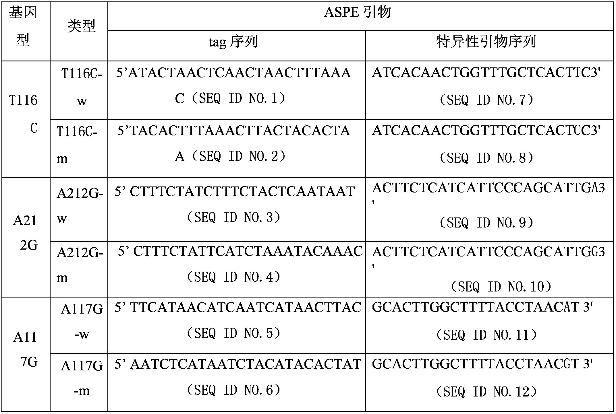 TGM5 gene mutation detection specific primer and liquid phase chip