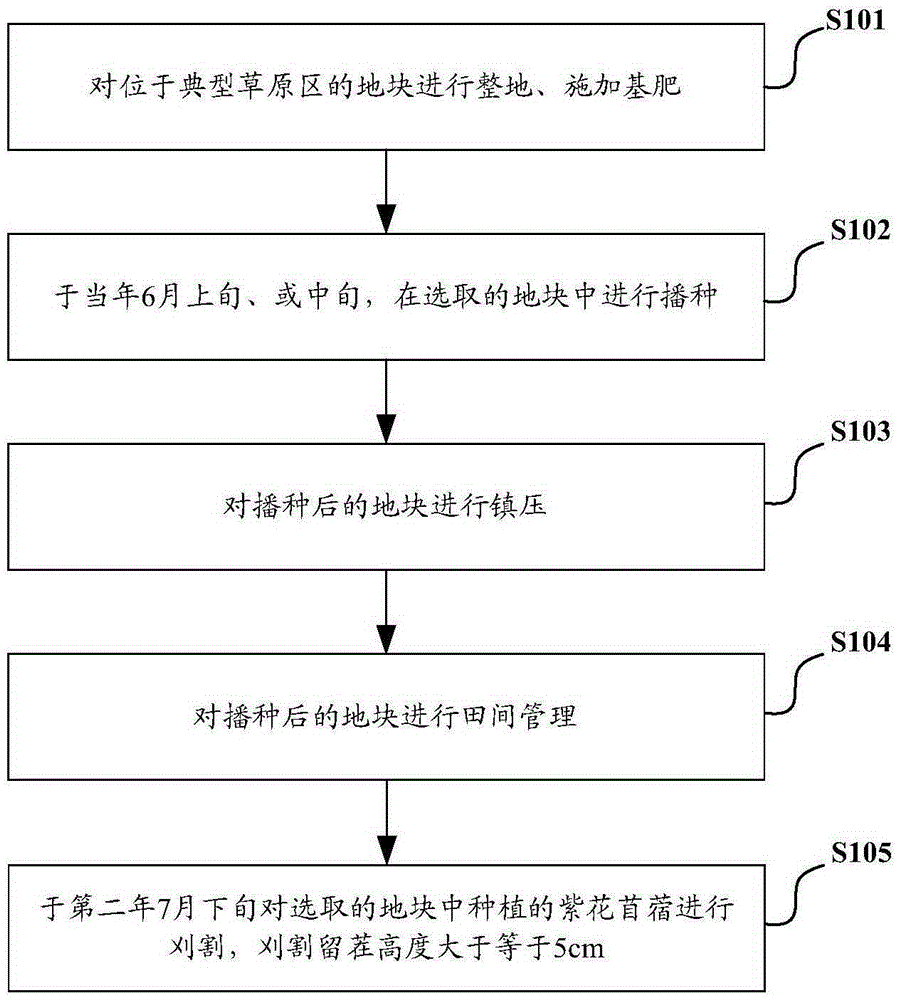 Method for planting alfalfa under rain-fed conditions in a typical grassland area