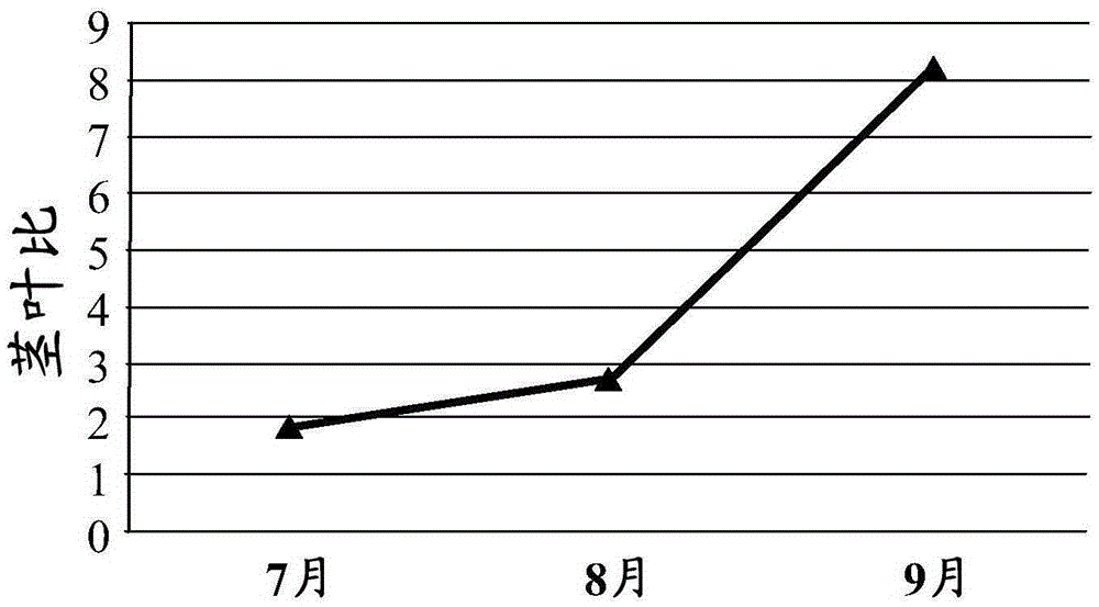 Method for planting alfalfa under rain-fed conditions in a typical grassland area