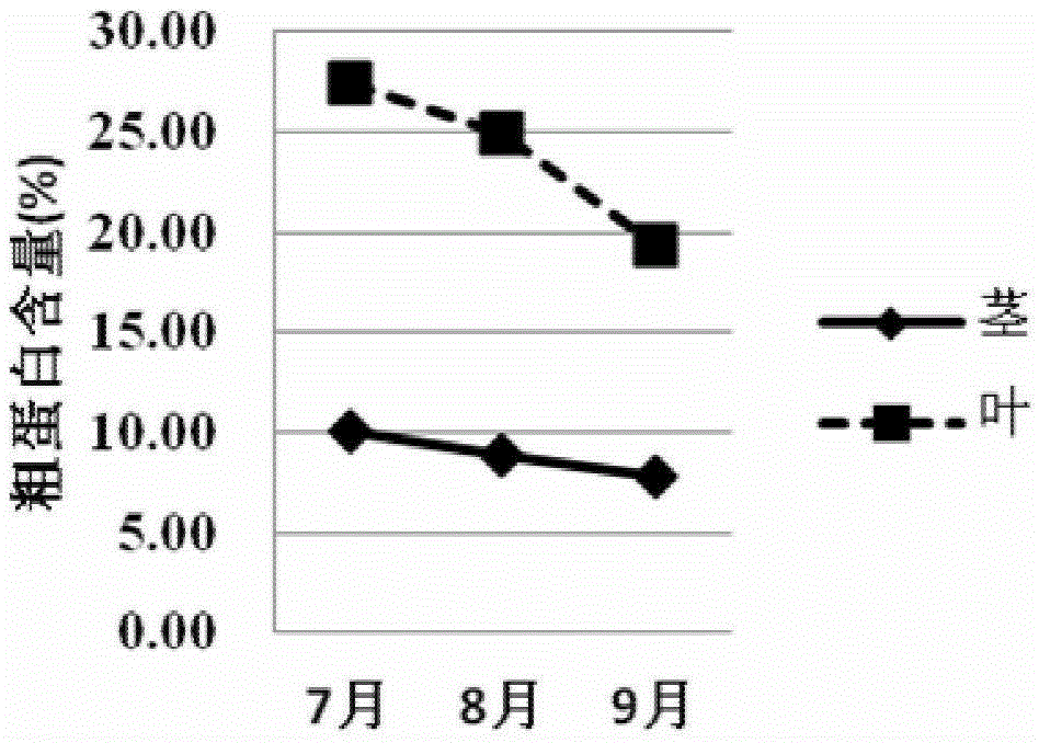 Method for planting alfalfa under rain-fed conditions in a typical grassland area