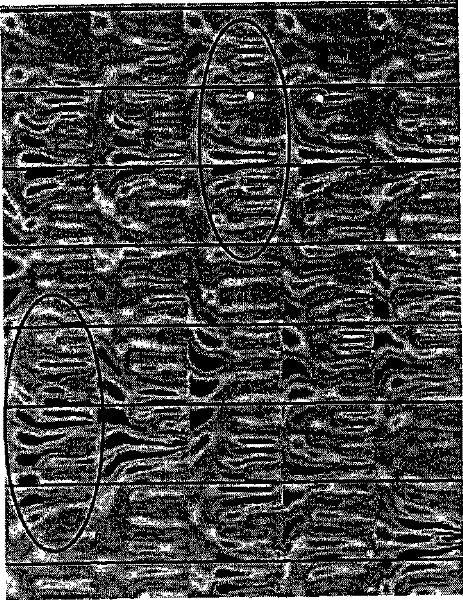 Earthquake gyration analysis method