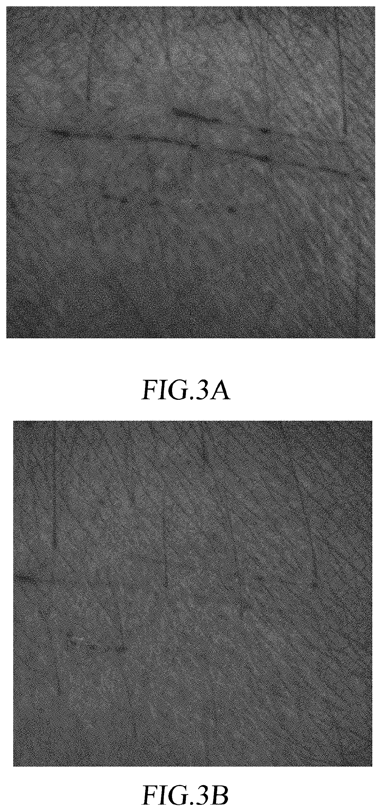 Use of magnolia figo extract in the manufacture of compound for promoting skin repairing and/or wound healing