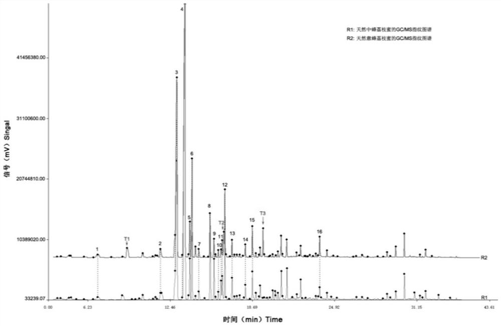 A construction method and identification application of fingerprints of natural Chinese bee lychee honey and natural Italian bee lychee honey