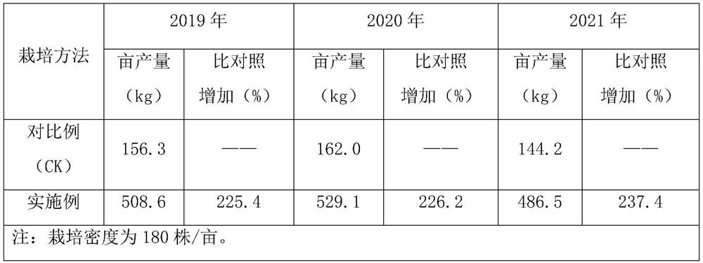 Cultivation method for passion fruit with multiple main vines to bear fruits