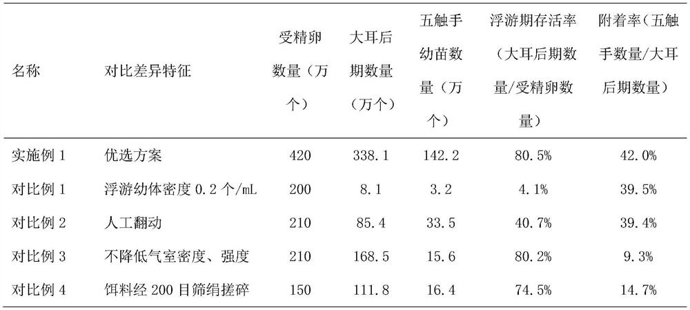 Efficient cultivation method for tropical juvenile holothuroidea